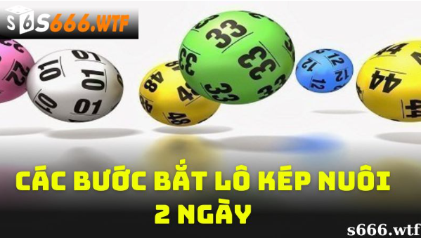 Các bước bắt lô kép nuôi 2 ngày tại S666